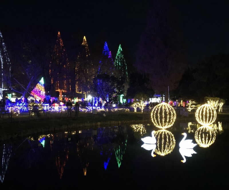 下町の大家さん28号